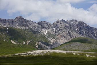_DSC2248.jpg
