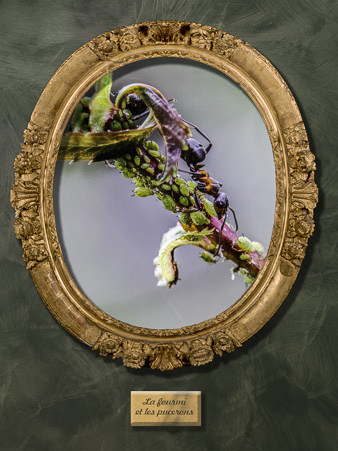 Galerie_des_survivants_03.jpg