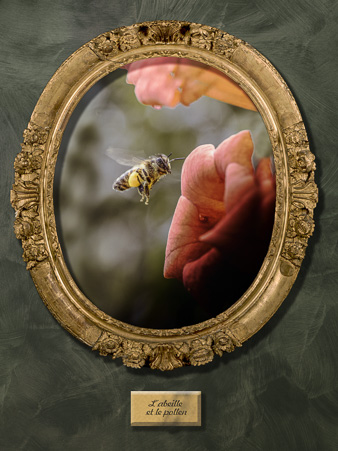 Galerie_des_survivants_08.jpg