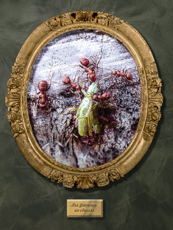Galerie_des_survivants_09.jpg