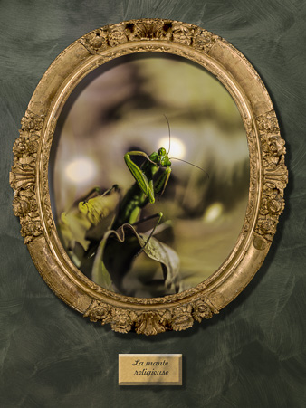 Galerie_des_survivants_10.jpg
