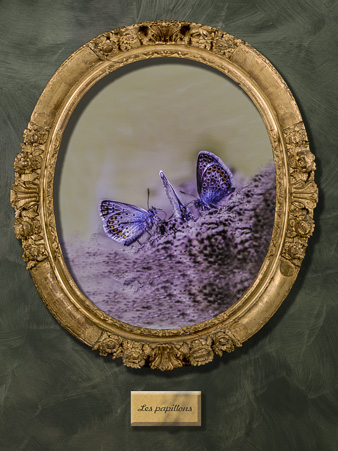 Galerie_des_survivants_11.jpg