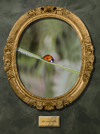 Galerie_des_survivants_13.jpg