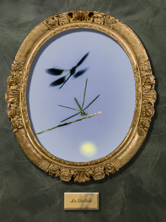 Galerie_des_survivants_15.jpg