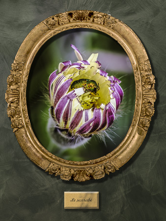 Galerie_des_survivants_16.jpg
