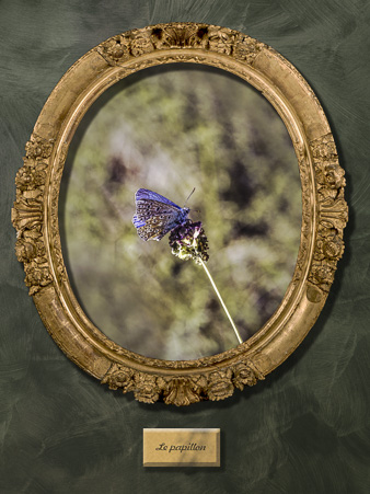Galerie_des_survivants_18.jpg