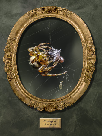 Galerie_des_survivants_19.jpg