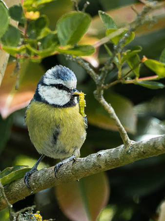 _DSC2557-Modifier.jpg