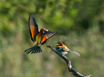 _DSC3008-Modifier-Modifier.jpg