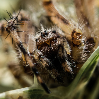 _DSC5534-Modifier.jpg