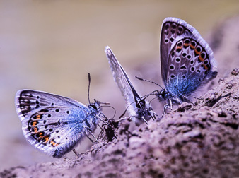 _DSC7855-Modifier-2.jpg